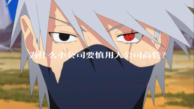 为什么小公司要慎用大公司高管？