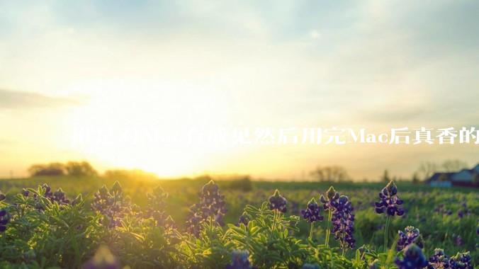 谁是对Mac有成见然后用完Mac后真香的？