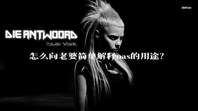 怎么向老婆简单解释nas的用途？
