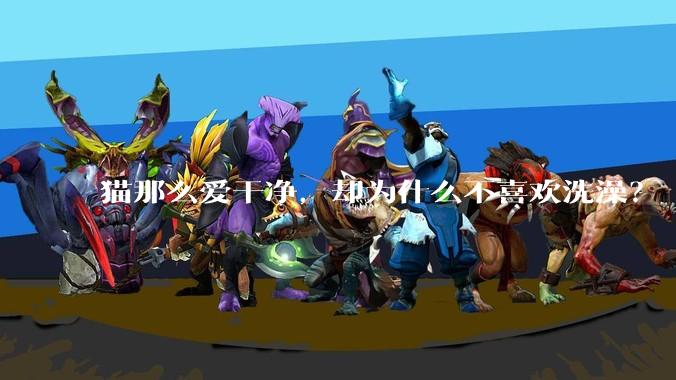 猫那么爱干净，却为什么不喜欢洗澡？