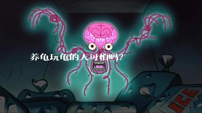 养龟玩龟的人可怕吗？