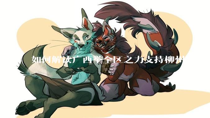 如何解读广西举全区之力支持柳州化解债务？