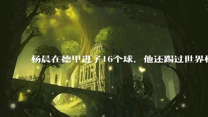 杨晨在德甲进了16个球，他还踢过世界杯，为何杨晨从来不说自己是中国第一前锋?