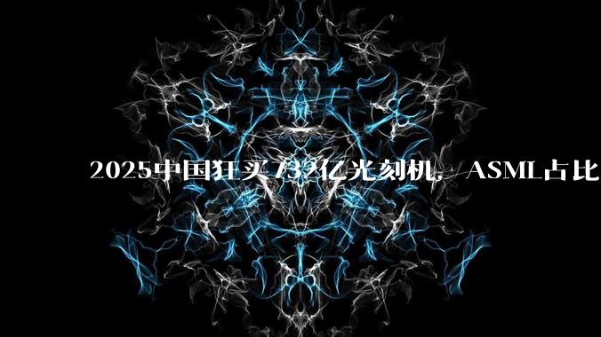 2025中国狂买732亿光刻机，ASML占比90%，日本占10%_进口_国产_尼康