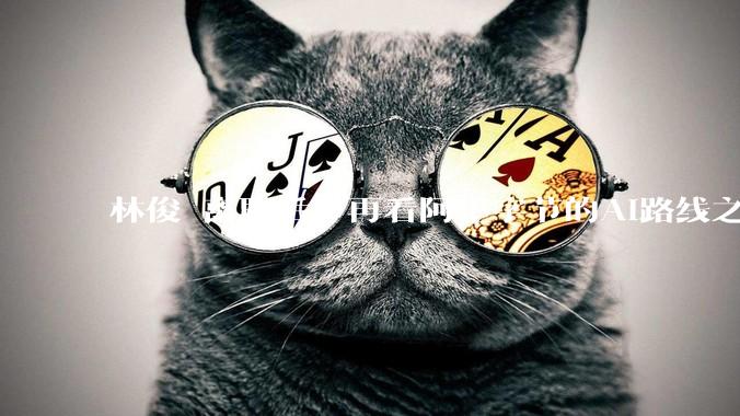 林俊旸离职后，再看阿里字节的AI路线之争_Qwen_模型_矩阵