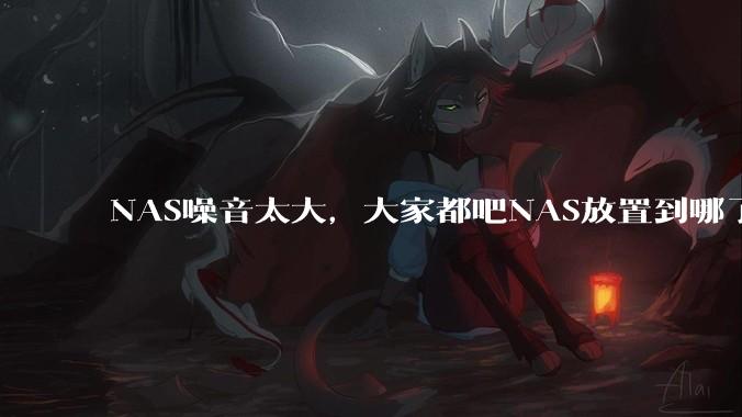 NAS噪音太大，大家都吧NAS放置到哪了？