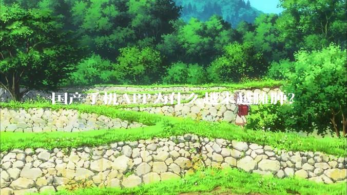 国产手机APP为什么越来越臃肿？