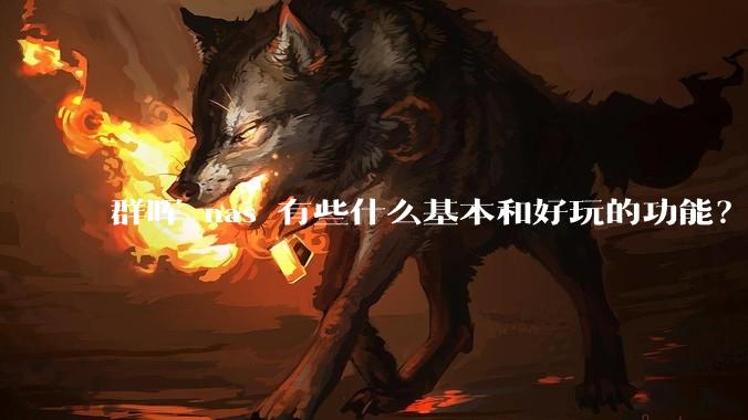 群晖 nas 有些什么基本和好玩的功能？