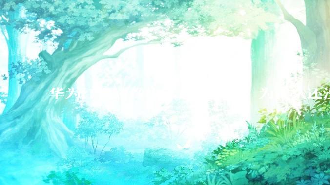 华为红枫影像出来这么久了，为什么还没有友商跟进？是不是说明这是一项可有可无的技术？