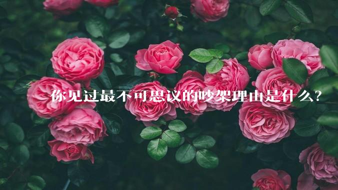 你见过最不可思议的吵架理由是什么？