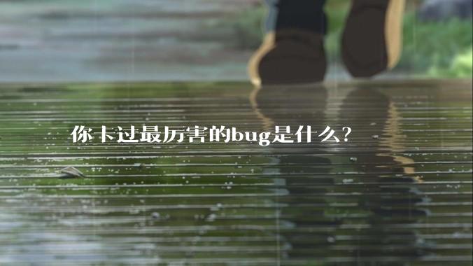 你卡过最厉害的bug是什么？